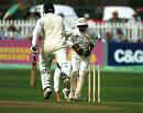 cricket.jpg (4740 octets)